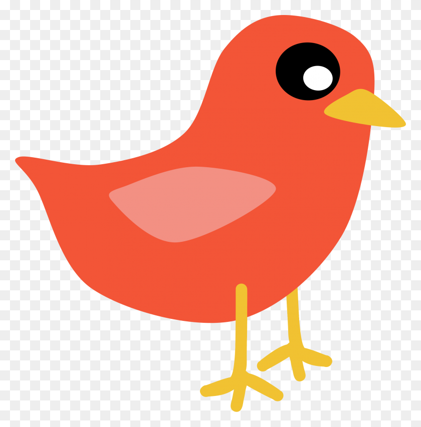 2167x2204 Red Bird Clipart Png - Red Bird PNG