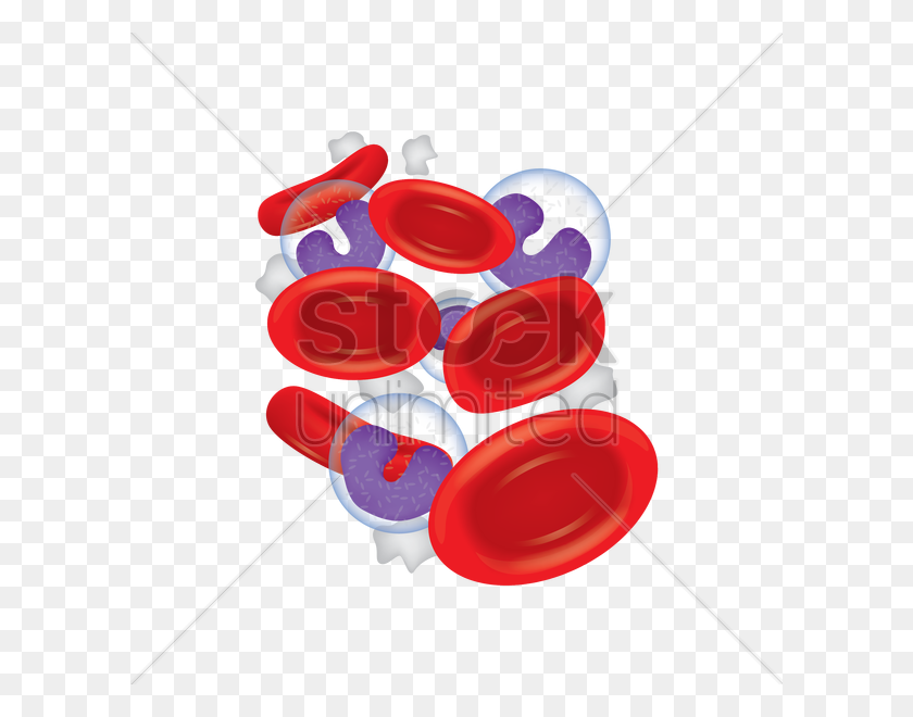 600x600 Red Blood And White Blood Cells Vector Image - White Blood Cell Clipart