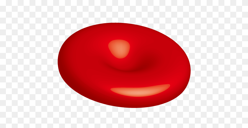 500x375 Red Blood Cell Png Transparent Red Blood Cell Images - Red Circle PNG Transparent