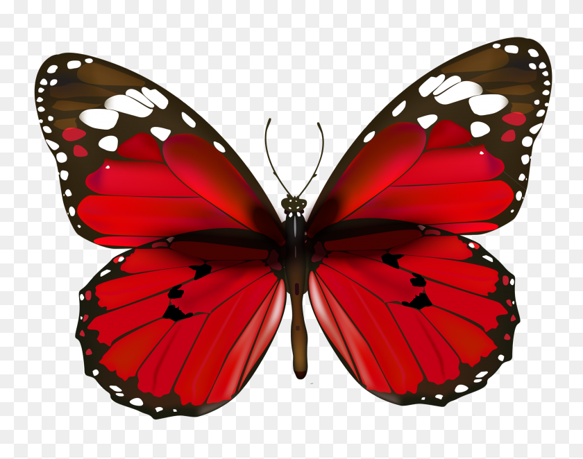 2704x2090 Red Butterfly Png - Red Butterfly Clipart