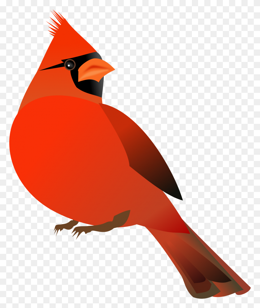 2001x2400 Red Cardinal Icons Png - Red Bird PNG