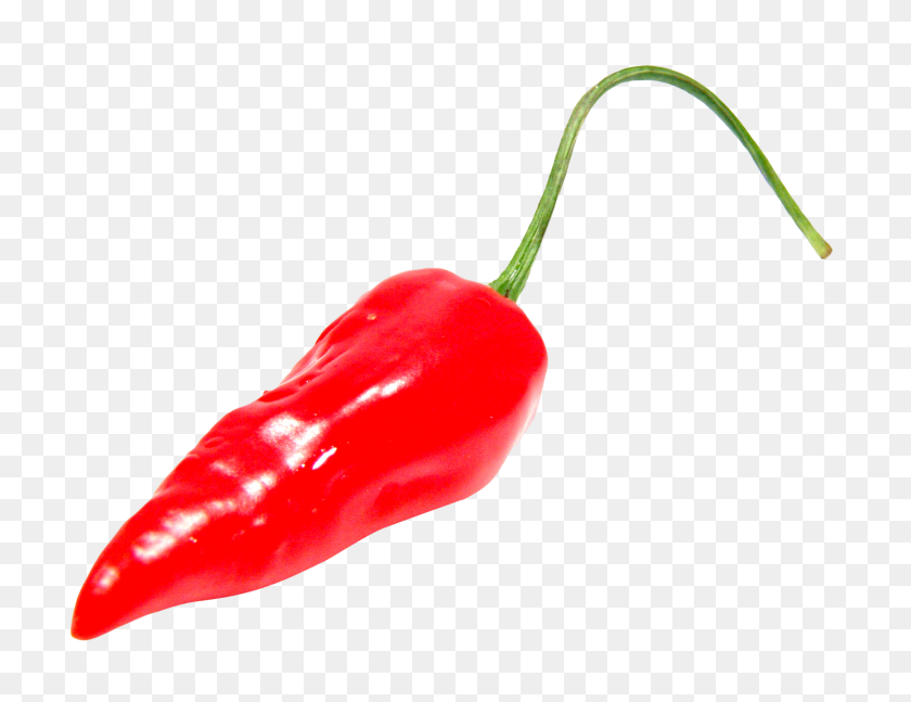 1736x1308 Red Chili Pepper Png Image - Peppers PNG