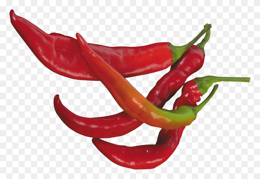3000x1993 Red Chilli Pepper Transparent Png - Pepper PNG
