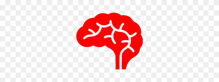 256x256 Cerebro Rojo Clipart - Cerebro Clipart