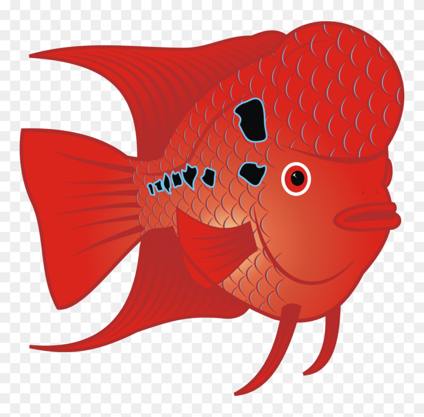 1024x1008 Красный Клипарт Воздушный Шар Золотая Рыбка - Золотая Рыбка Картинки
