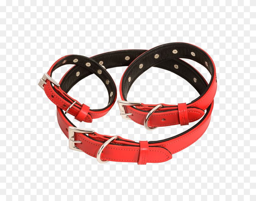 600x600 Red Collar Concha Collar - Dog Collar PNG