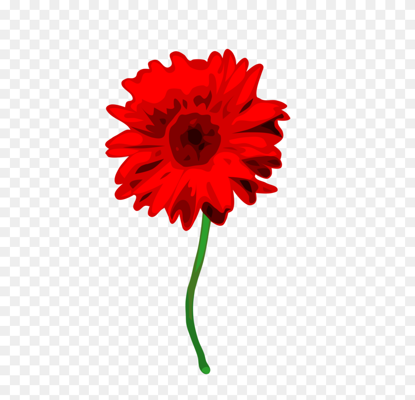 564x750 Red Daisy Flower Clipart - Poppy Flower Clipart