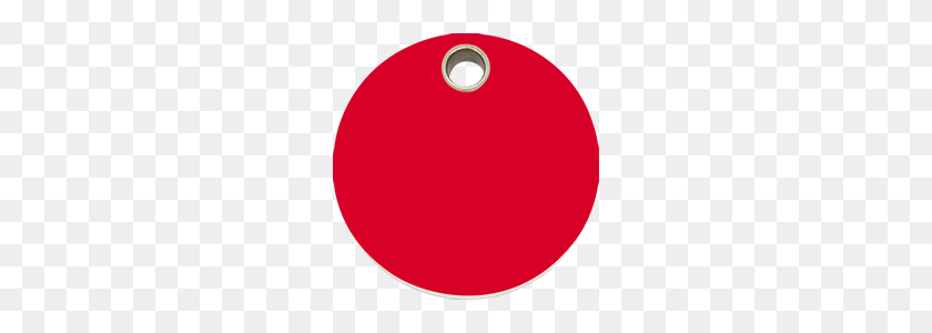 360x240 Красный Динго Kunststof Penning Circle Rood Cl Re - Красный Тег Png