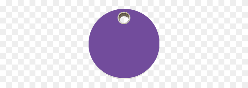 360x240 Red Dingo Plastic Tag Circle Purple Cl Pu - Purple Circle PNG