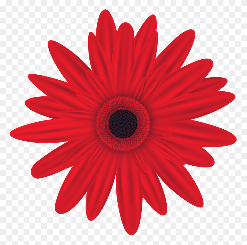 8000x7947 Red Flower Clip Art - Free Floral Clipart