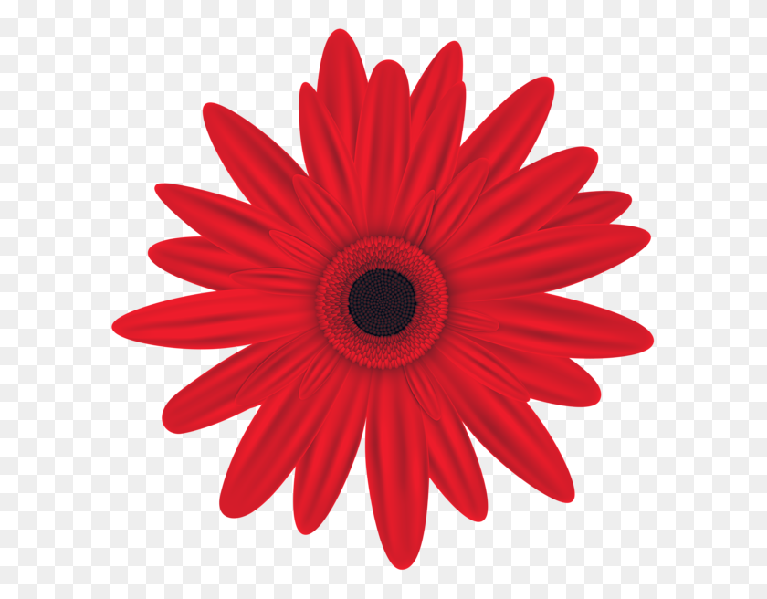 600x596 Красный Цветок Картинки Изображения Аа Флорес В Цветке - Красный Цветок Клипарт