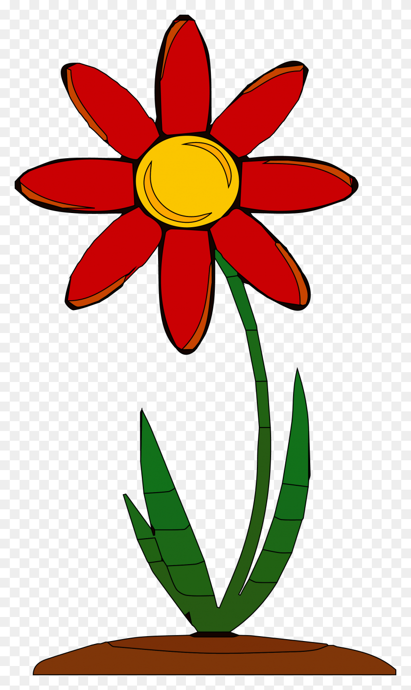 1804x3121 Красный Цветок Клипарт Png - Полевой Цветок Png