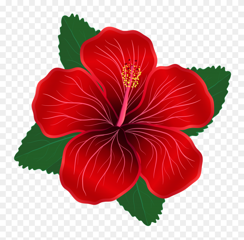 7395x7300 Red Flower Png Clipart - Red Flower PNG