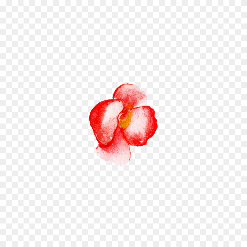 1024x1024 Red Flower Watercolor Hand Painted Transparent Free Png Download - Flower Watercolor PNG