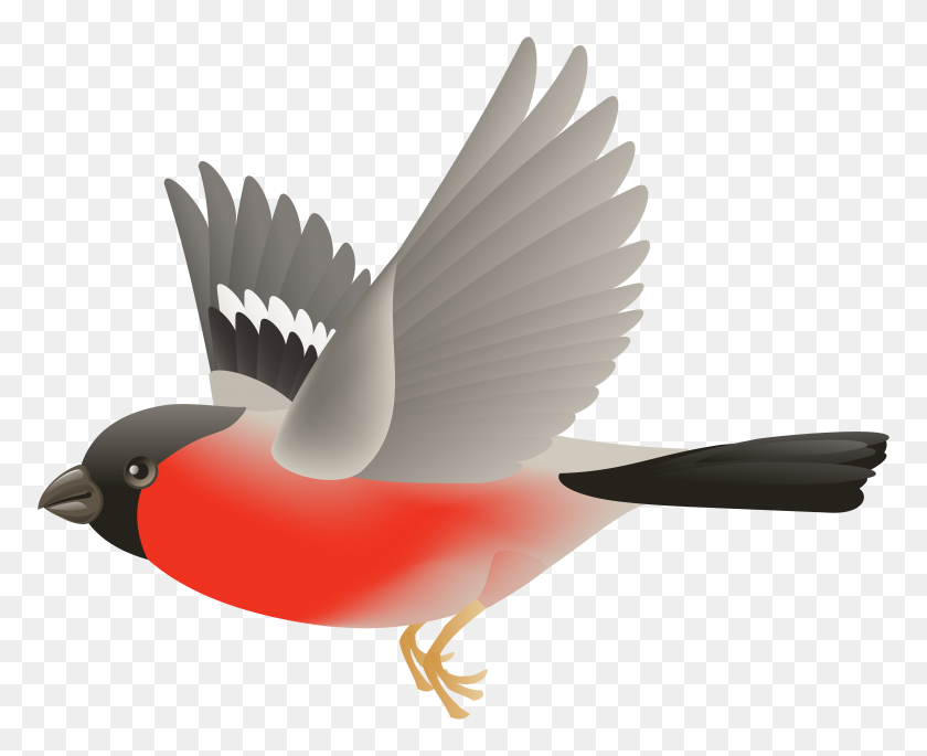 8000x6411 Pájaro Rojo Volador Transparente Clipart - Red Bird Clipart