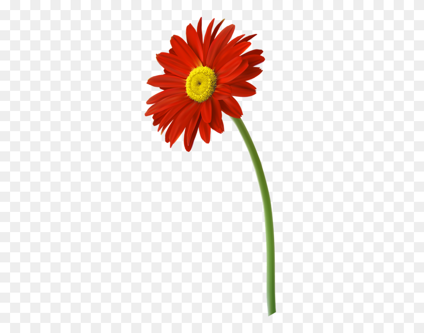 271x600 Red Gerbera Flower Png Clip Art Image Aa Flores - Yellow Flower PNG