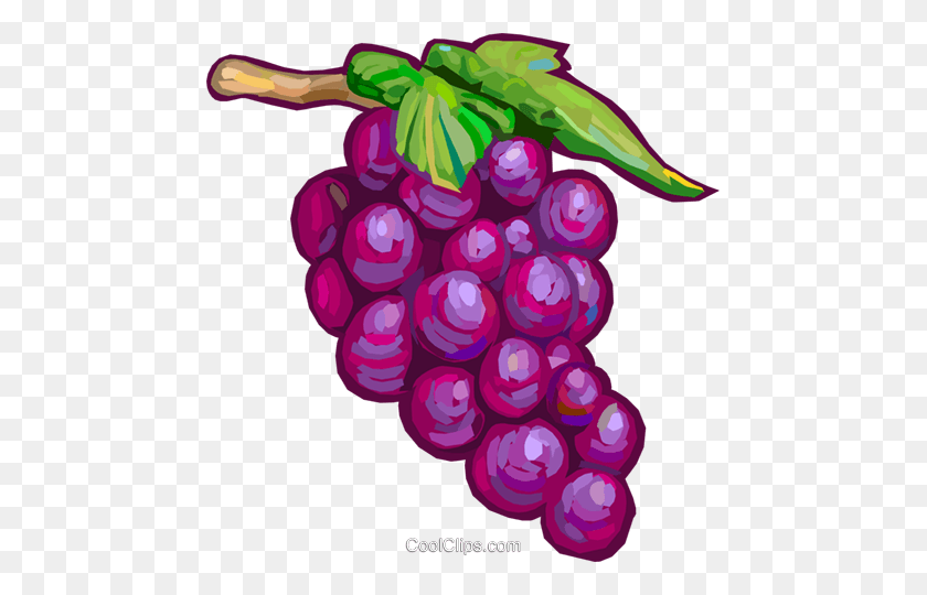 465x480 Red Grapes Royalty Free Vector Clip Art Illustration - Purple Grapes Clipart