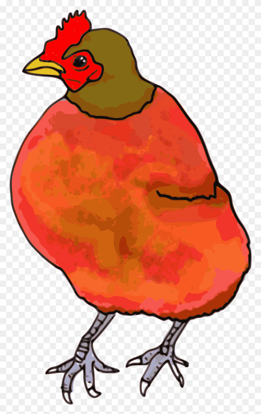 1448x2354 Red Hen Icons Png - Hen PNG