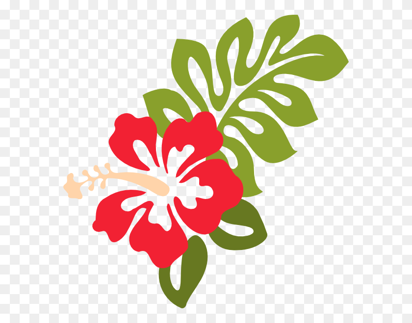 582x599 Красный Гибискус Картинки - Гавайский Цветочный Клипарт
