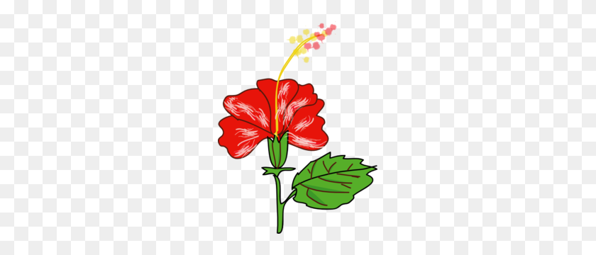 225x300 Red Hibiscus With Leaf Clip Art Clip Art Clip Art - Hollyhock Clipart
