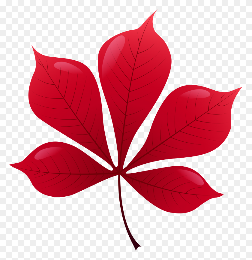 7737x8000 Red Leaf Png Clip Art - Red Leaf Clipart