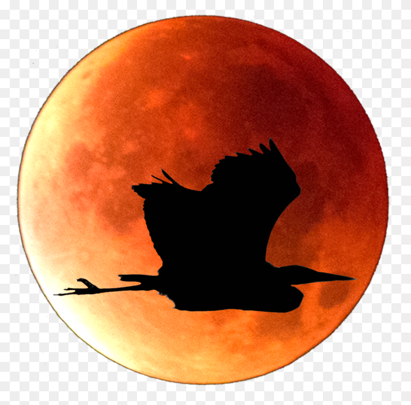 1000x985 Red Moon Photo - Red Moon PNG