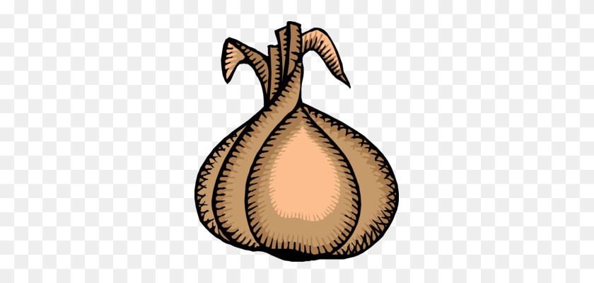 289x340 Red Onion Shallot Vegetable Food Garlic - Garlic Clipart