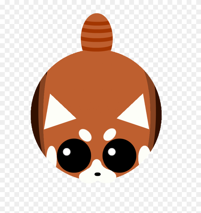 800x849 Red Panda - Red Panda PNG