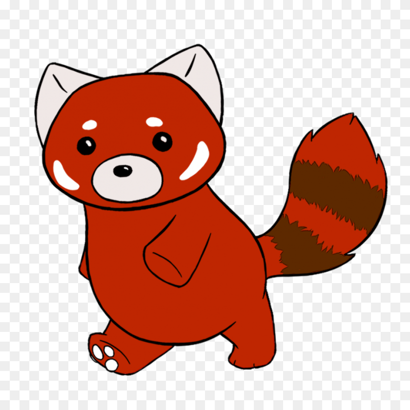 894x894 Красная Панда - Красная Панда Png