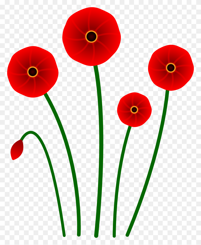5560x6855 Red Poppy Flowers - Red Flower Clipart