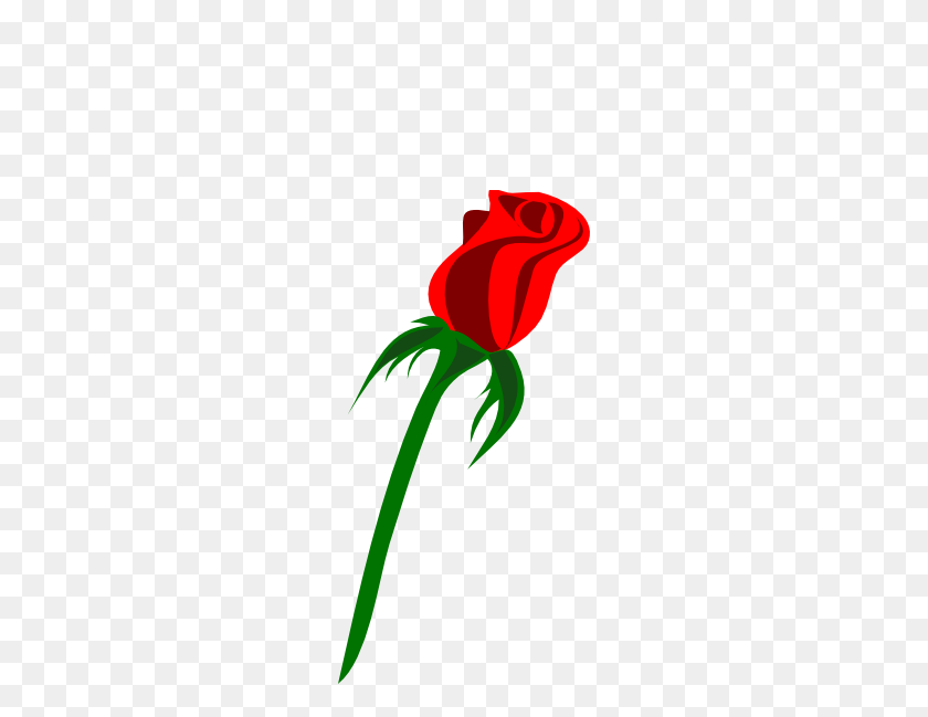 228x589 Красная Роза Бутон Картинки - Бутон Розы Клипарт