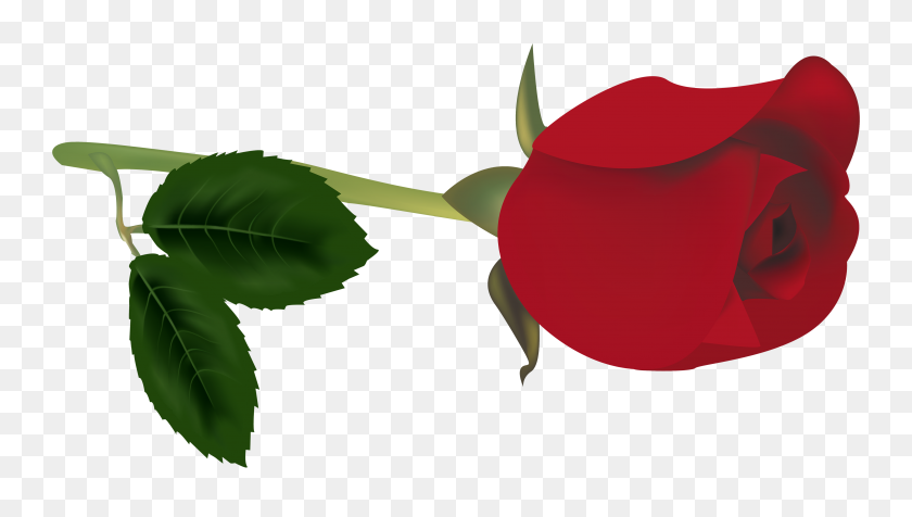 4000x2136 Red Rose Bud Png Clipart - Rose Bud Clipart