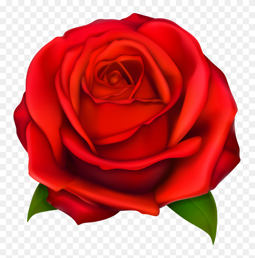 4084x4136 Red Rose Clip Art - Single Rose PNG