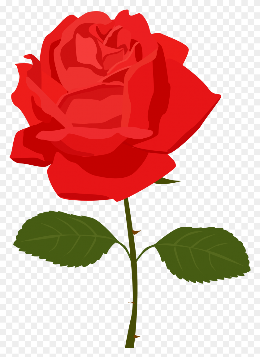 1929x2699 Red Rose Clip Art Free - Family Clipart Transparent Background