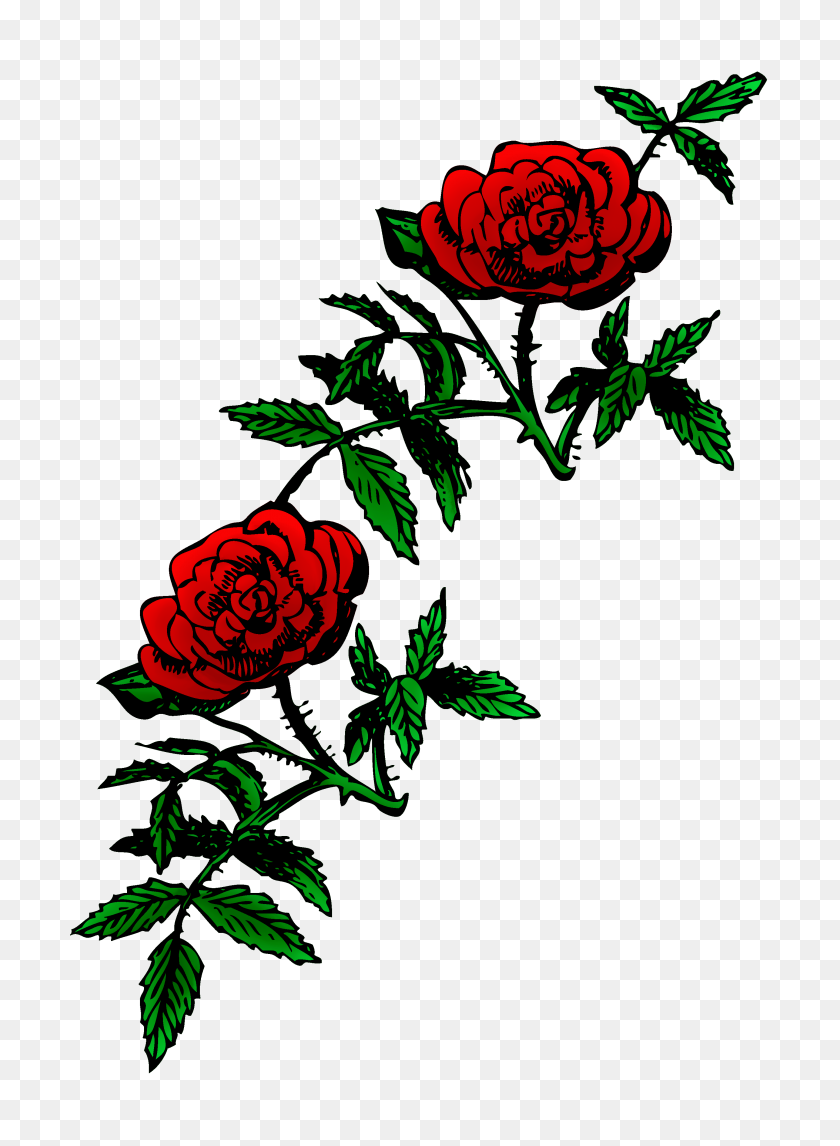 2887x4022 Red Rose Clipart - Beauty And The Beast Rose Clipart