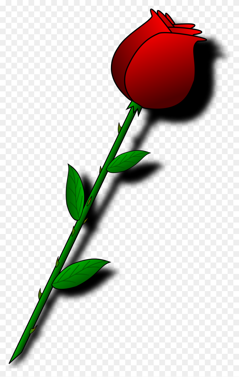 1484x2400 Red Rose Clipart Cartoon - Beauty And The Beast Rose Clipart