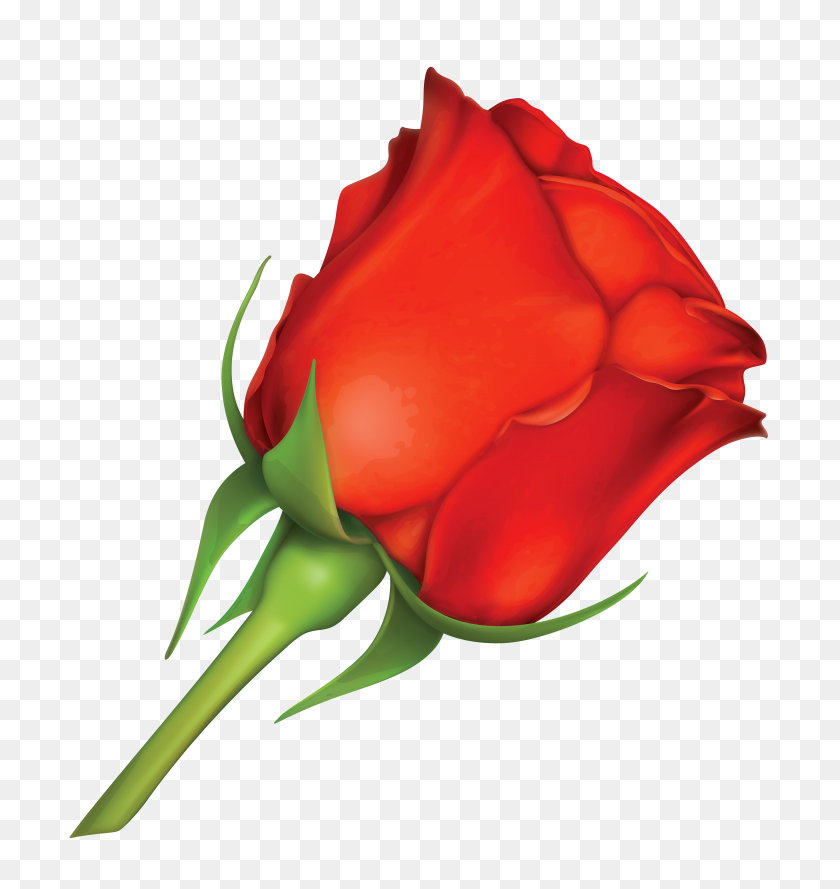 5721x6082 Красная Роза, Большой Клипарт - Большой Семейный Клипарт