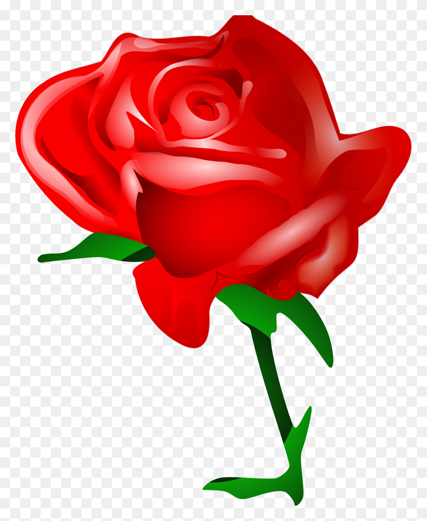 2926x3622 Red Rose Clipart One - Rose Border Clipart