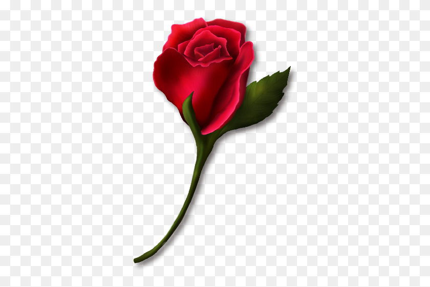 328x501 Красная Роза Клипарт Реальный - Картинки С Красной Розой