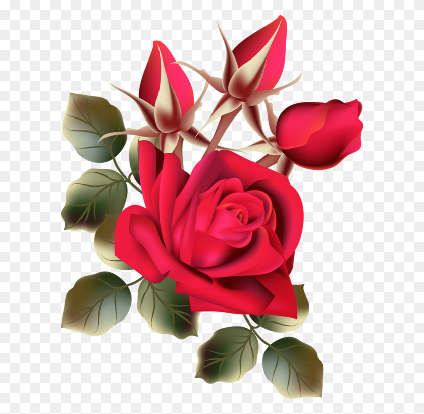 600x761 Красная Роза Клипарт Уважение К Жизни - Уважение Картинки