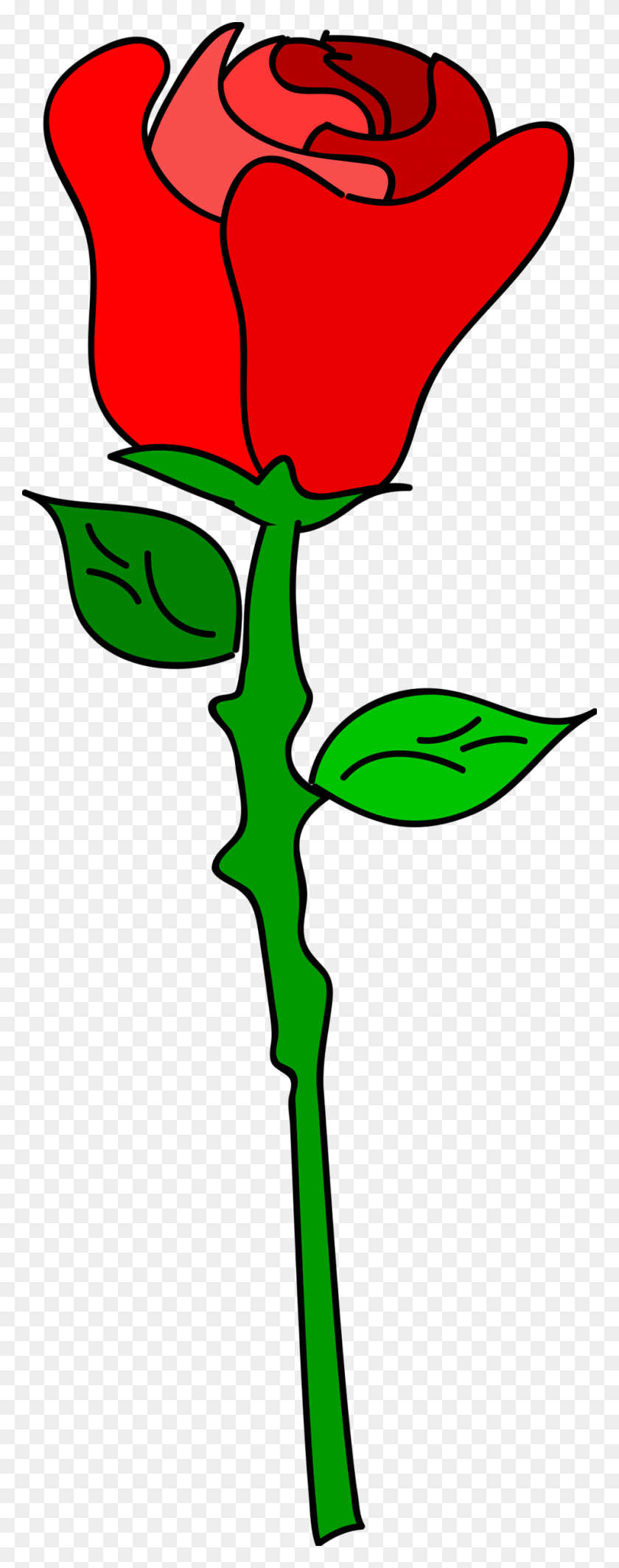 958x2541 Red Rose Clipart Romance - Rose Drawing PNG