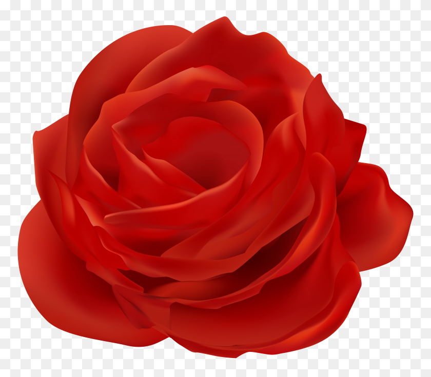 8000x6928 Red Rose Flower Png Clip Art - Scribble Clipart