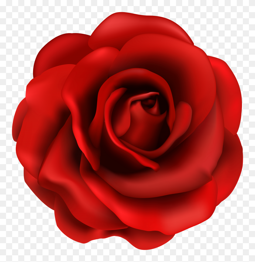 5898x6068 Flor De Rosa Roja Png Clipart - Una Sola Flor Png