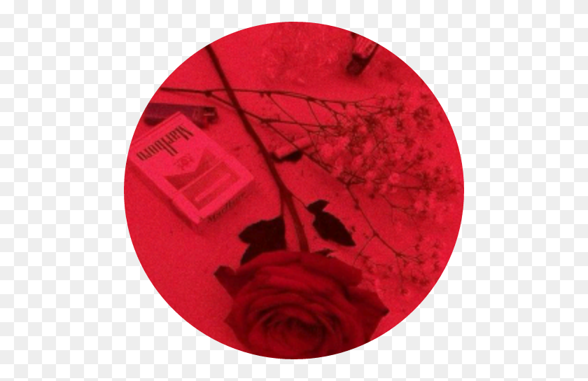 488x484 Красная Роза, Эстетика, Гранж, Эстетический Круг, Круг - Гранж Круг Png