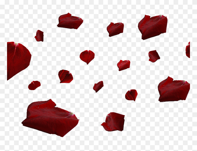 800x600 Pétalos De Rosa Roja Png - Textura De Óxido Png