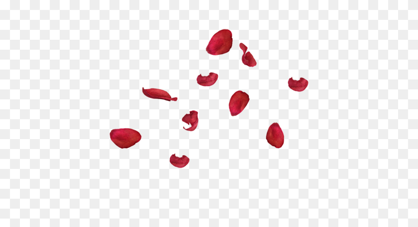 425x397 Red Rose Petals Png, Red Rose Petals Png - Rose Petals PNG
