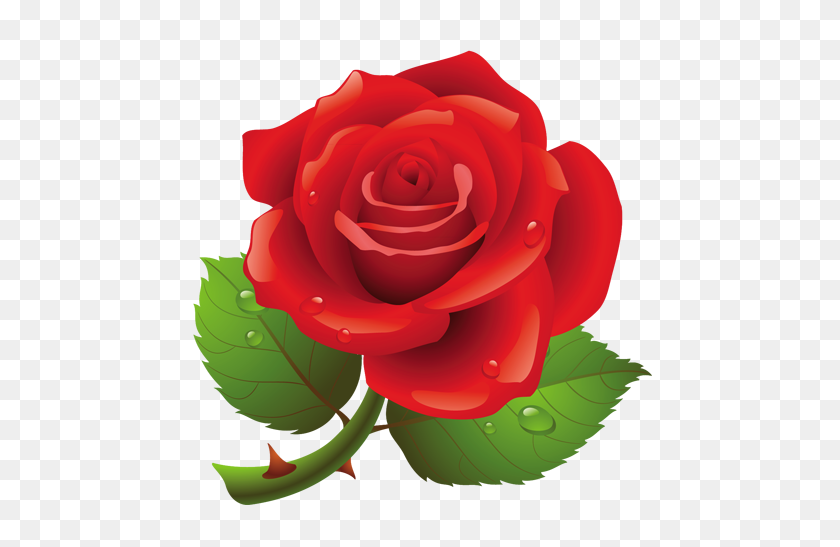Red Rose Png Art Picture Flowers Rose, Clip Art - Rose Clipart PNG