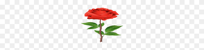 180x148 Png Красная Роза Клипарт