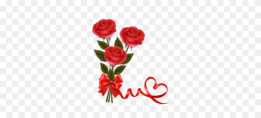 272x320 Red Rose Png Hd - Rose PNG
