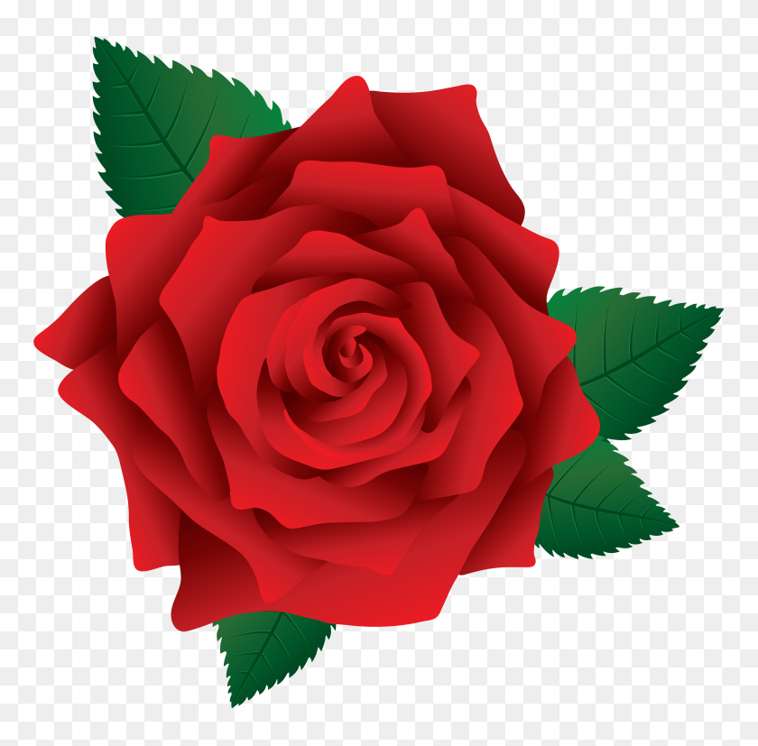5953x5854 Red Rose Png Image - Red Rose Clip Art